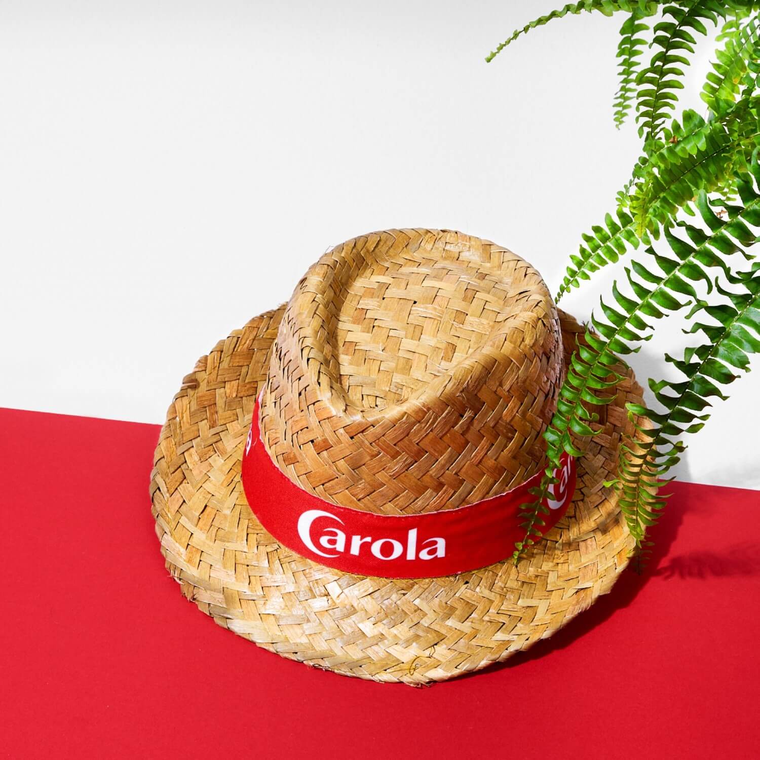Chapeau Carola